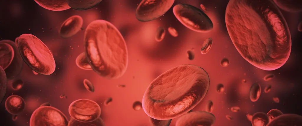 Demir Eksikliği: Belirtiler ve Doğal Destek Yöntemleri